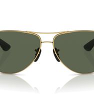 Ray-Ban 8331M F00871 Erkek Güneş Gözlüğü
