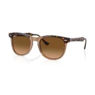Ray-Ban RB2398 1292M2 56 Unisex Güneş Gözlüğü