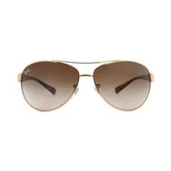 Ray-Ban RB33860011363 Unisex Güneş Gözlüğü