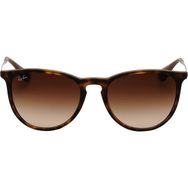 Ray-Ban RB4171 865/13 54-18 Erkek Güneş Gözlüğü