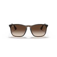 Ray-Ban RB4187 865/13 54 Unisex Güneş Gözlüğü
