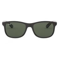 Ray-Ban RB/4202/6069/71/55 Erkek Güneş Gözlüğü