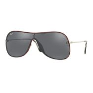 Ray-Ban Rb4311n 63596g Erkek Güneş Gözlüğü