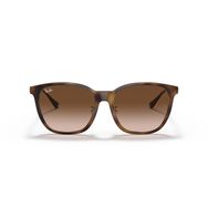 Ray-Ban RB4333D 710/13 55 Unisex Güneş Gözlüğü