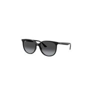 Ray-Ban Rb4378 601/8g Erkek Güneş Gözlüğü
