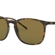 Ray-Ban RB4387 710/73 Kadın Güneş Gözlüğü
