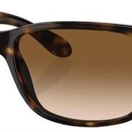 Ray-Ban RB4388 710/51 58 Unisex Güneş Gözlüğü