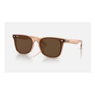 Ray-Ban RB4391 710 13 65.18 Unisex Güneş Gözlüğü