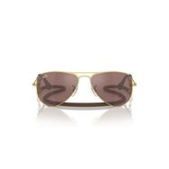 Ray-Ban RJ9506S 223/6G 52 Unisex Güneş Gözlüğü