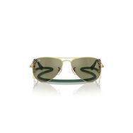 Ray-Ban RJ9506S 223/6R 52 Unisex Güneş Gözlüğü