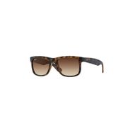 RAY-BAN UNİSEX GÜNEŞ GÖZLÜĞÜ RB 4165 710/13