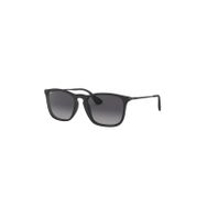 Rayban RB4187 622/8G 54 Unisex Güneş Gözlüğü
