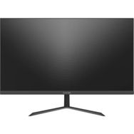 Raydın Alısa 24 inç 75Hz 2ms Monitör