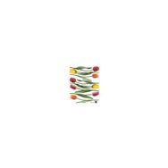 Rayher 5586921 Lale 7106500 Duvar Sticker