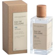 Rebul 200 ml Ice Kolonya