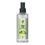 Rebul 50 ml Lime Kolonya