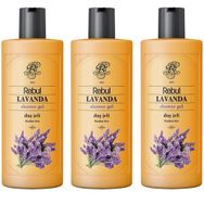 Rebul Lavanta 500 ml x 3 Adet Duş Jeli