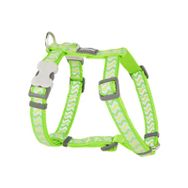Red Dingo Lime 25 mm Reflektörlü Ziggy Desenli Köpek Göğüs Tasması
