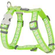 Reddingo Fosforlu Ziggy Lime 20 mm Köpek Göğüs Tasması