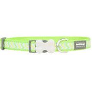 Reddingo Fosforlu Ziggy Lime 20 mm Köpek Tasması