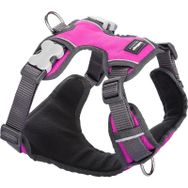 Reddingo Konfor 20mm Pembe Köpek Göğüs Tasması