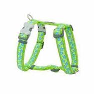 Reddingo Lime Turkuaz Yıldızlı 12 mm Köpek Göğüs Tasması