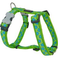 Reddingo Lime Üzeri Turkuaz Yıldızlı 25 Mm Köpek Göğüs Tasması