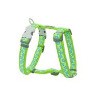 Reddingo Lime Üzerine Turkuaz Yıldızlı 15 mm Köpek Göğüs Tasması