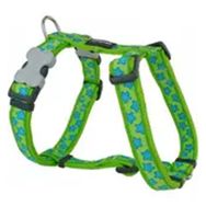Reddingo Lime Üzerine Turkuaz Yıldızlı Boyun 25 mm Köpek Tasması