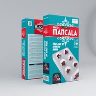 Redka Plastik Mancala Zeka ve Strateji Oyunu