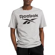 Reebok erkek Identity Big Logo Tişört, Mgreyh, L