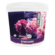 Reeflowers 22.5 kg Caledonia Coral Salt