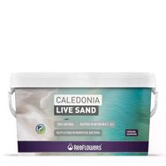 Reeflowers Caledonia Live Sand Gold 18 kg Akvaryum Kumu