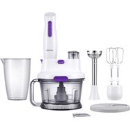 Regal RMBS 1000 B Blender