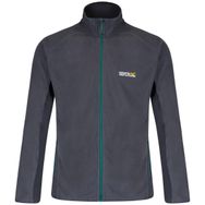Regatta Ashton Gri Erkek Polar