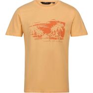 Regatta Cline VII Turuncu Erkek T-shirt