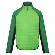 Regatta Clumber IV Hybrid Yeşil Erkek Ceket