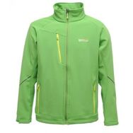 Regatta Davies Softshell Yeşil Erkek Ceket