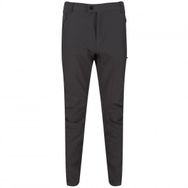 Regatta Highton Gri Erkek Pantolon