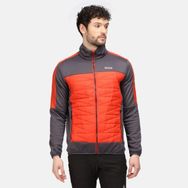 Regatta RMN180 Turuncu Gri Clumber Iı Hybrid Insulated Jacket Erkek Ceket Mont