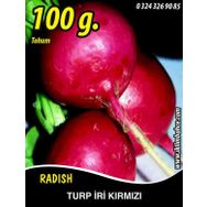 Rem Seeds 100gr Toros Kırmızısı Turp Tohumu
