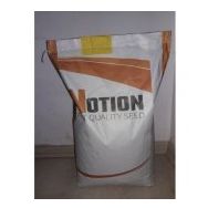 Rem Seeds 2kg Erbal Sarı Oturak Turşuluk Fasulye Tohumu