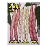 Rem Seeds 2kg Sırık Defne Barbunya Tohumu