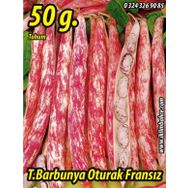 Rem Seeds 50gr Oturak Fransız Tipi Barbunya Tohumu