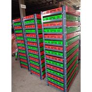 Rema Krt300 15 Katlı Ceviz Kurutma Sehpası