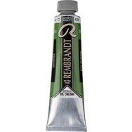 Rembrandt 40 ml 2 No:623 Sap Green Yağlı Boya