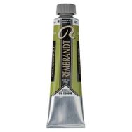 Rembrandt 40 ml Cinnabar Green Lt Yağlı Boya