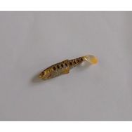 Remixon Crafter Shad 8 Adet 6.5 cm Dirty Roach Silikon Yem