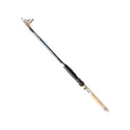 Remixon Quantum 210 cm 20-40 gr Kamış