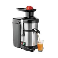 Remta Profesyonel 700 W 2000 ml Hazneli Katı Meyve Sıkacağı